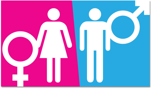 name-verification-gender-determination-1